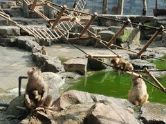 -宁波野生动物园