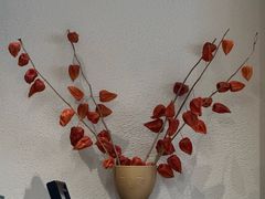 -常识咖啡common sense(春熙路店)