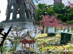 -顺峰山公园