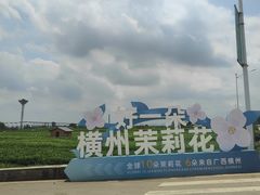 -中华茉莉园