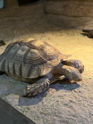 -Zoolung Zoolung动物主题公园(海信广场店)