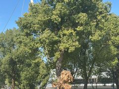 -浙江大学(紫金港校区)