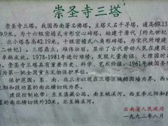 -三塔倒影公园