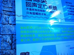 -正佳极地海洋世界