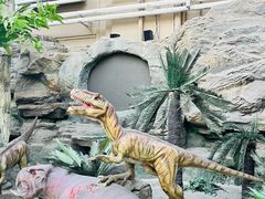 -国家自然博物馆