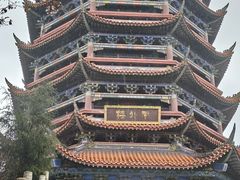 -铁山坪森林公园