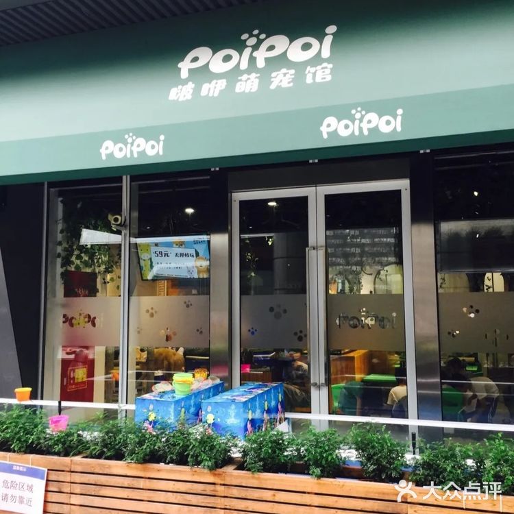 萌宠乐园夏日来打卡[调皮]