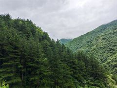 -小五台金河景区