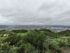 -大姆山草场