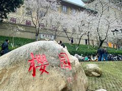 -武汉大学-樱园