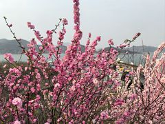 -太阳宫公园