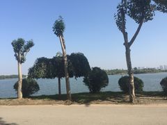 -丁香湖公园