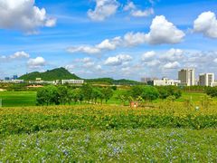 -光明农场大观园