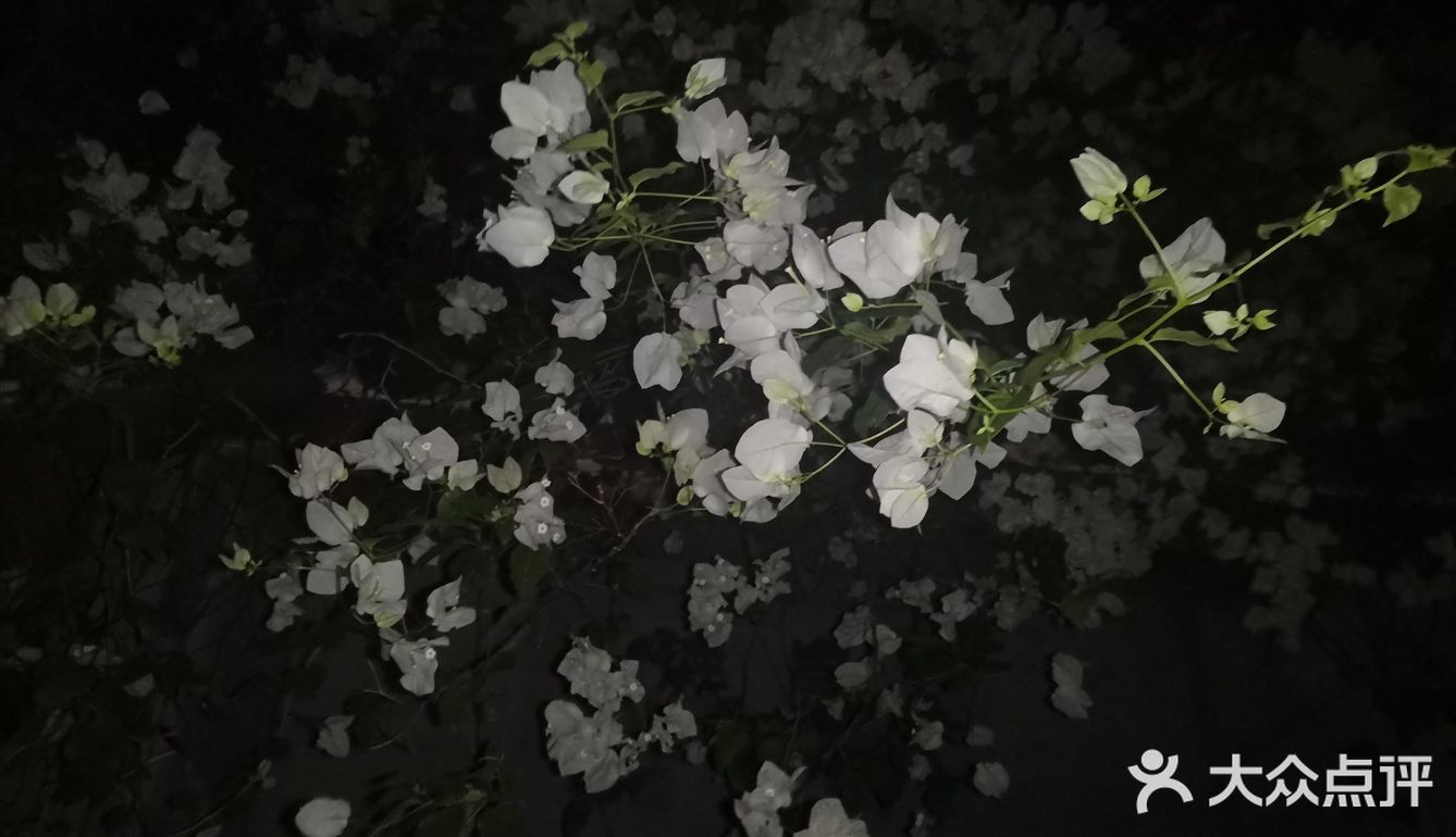 一起合道