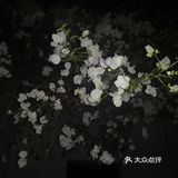 一起合道