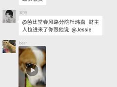 -芭比堂动物医院·24小时·眼科中心(深圳中心)