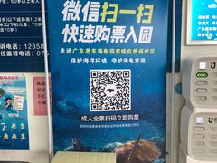 -广东惠东海龟国家级自然保护区
