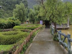 -靖西鹅泉风景区