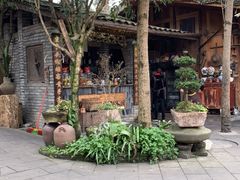 -青城甲(青城山店)