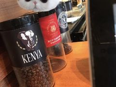 -星巴克(长春开运街欧亚店)