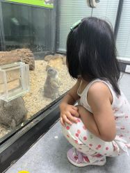 -未来动物城动物主题公园(大悦城店)