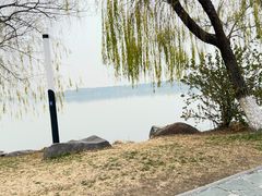 -金鸡湖桃花岛