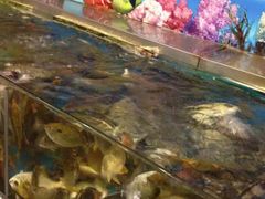 -御唐府海珊瑚主题餐厅