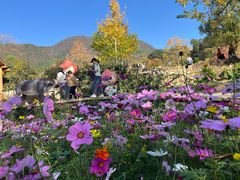 -塔川景区