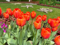 -星巴克(上海交通大学店)