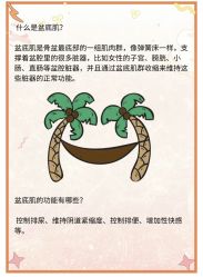 -Dr.林醫生产后修复·配方产康(南京江宁万达店)