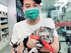 -宠物家(大兴旧宫店)