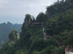 -老君山风景名胜区