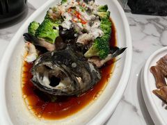 广式清蒸石斑鱼-澄记狮头鹅安粮店