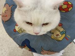 -新梦百货(民族店)