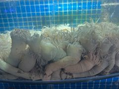 -望海潮海鲜店 特色家常菜(在海一方店)
