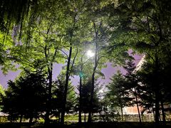 -东北大学(南湖校区)