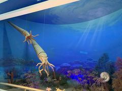 -国家自然博物馆