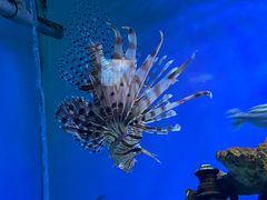 -太平洋海底世界