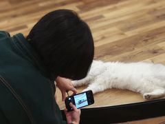 -袖虎·猫馆(体育西路店)