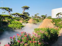 -罗红摄影艺术馆