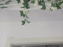 -凡碧诗毛孔收细