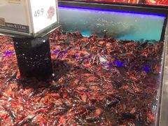 -盒马鲜生(岭南新世界店)