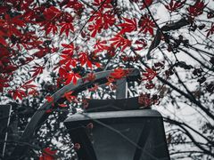 -杭州半山国家森林公园