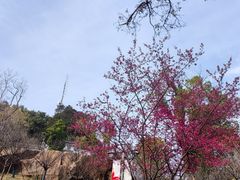 -乌山风景区