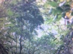 -长辛店二七公园