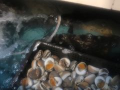 -原龙海鲜大排档(美食地标店)