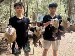 -坛南湾阿强农家乐.海鲜大排档老字号(福州地标美食店)