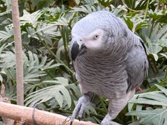 -南宫五洲植物乐园