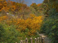 -峨眉山风景名胜区
