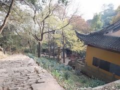 -雨花胜境